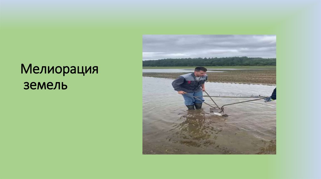 Мелиорация земель