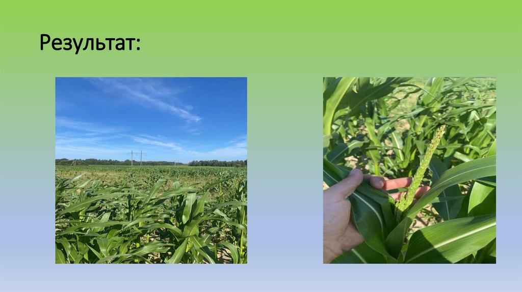 Результат: