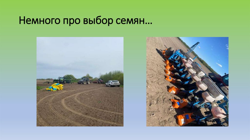Немного про выбор семян…