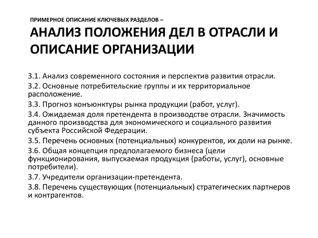 Примерное описание ключевых разделов – анализ положения дел в отрасли и описание организации