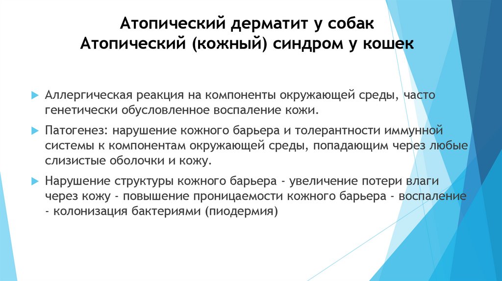 Атопический дерматит у собак Атопический (кожный) синдром у кошек