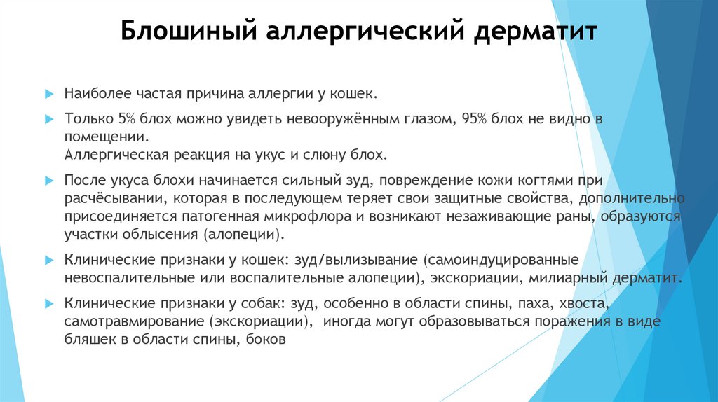 Блошиный аллергический дерматит