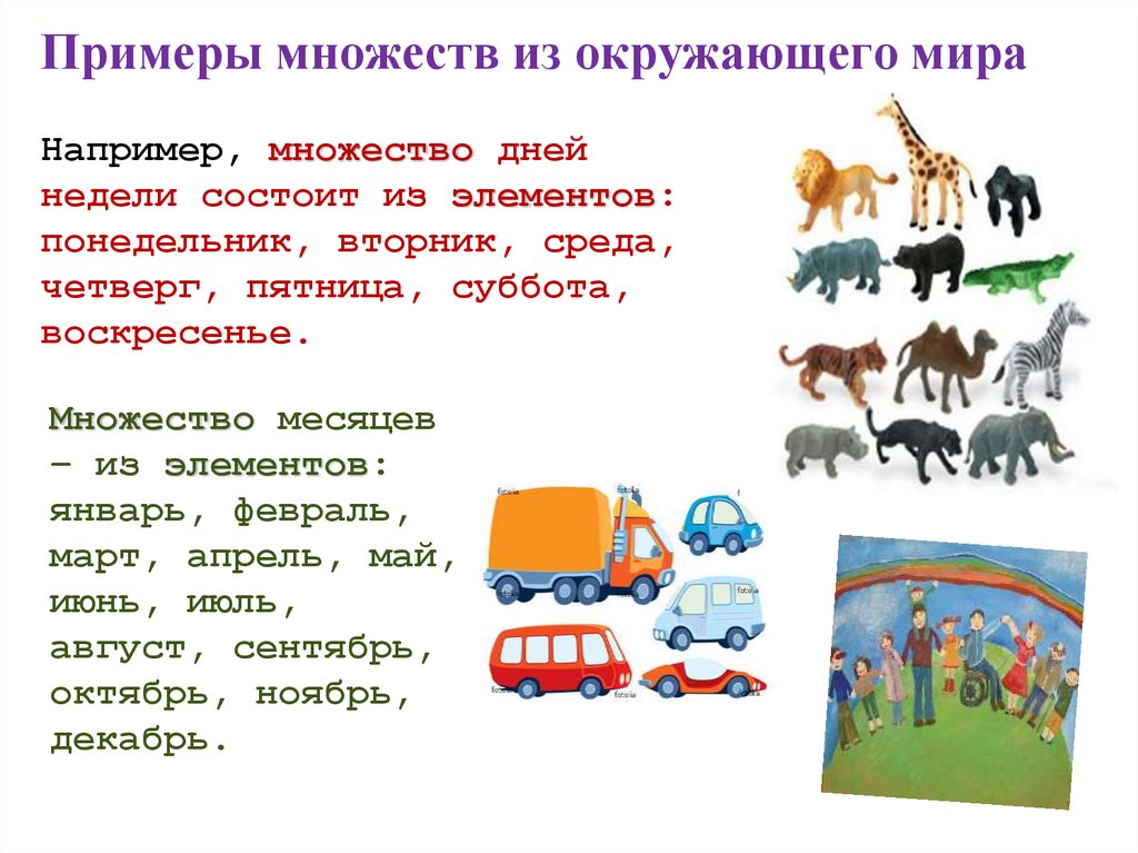 Примеры множеств из окружающего мира