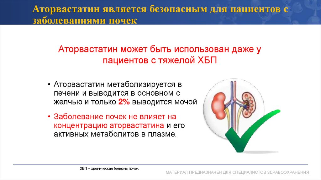 Аторвастатин является безопасным для пациентов с заболеваниями почек
