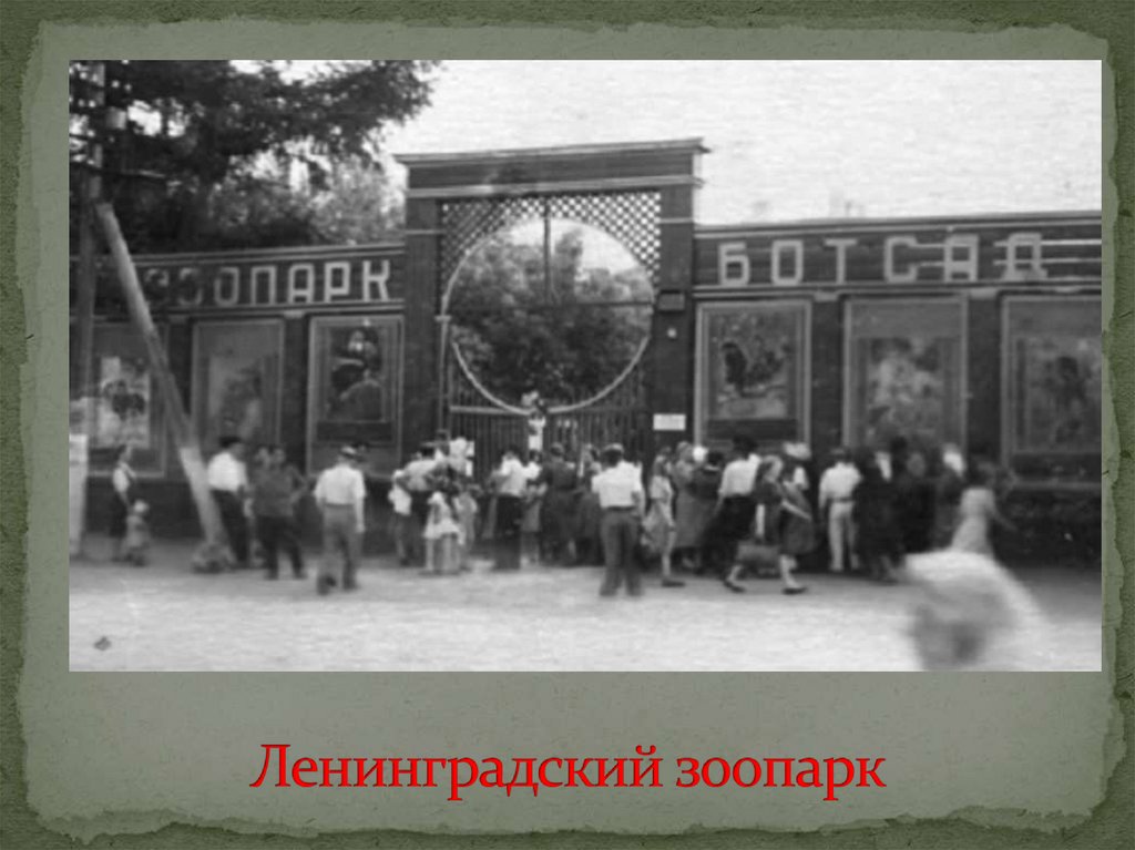 Ленинградский зоопарк