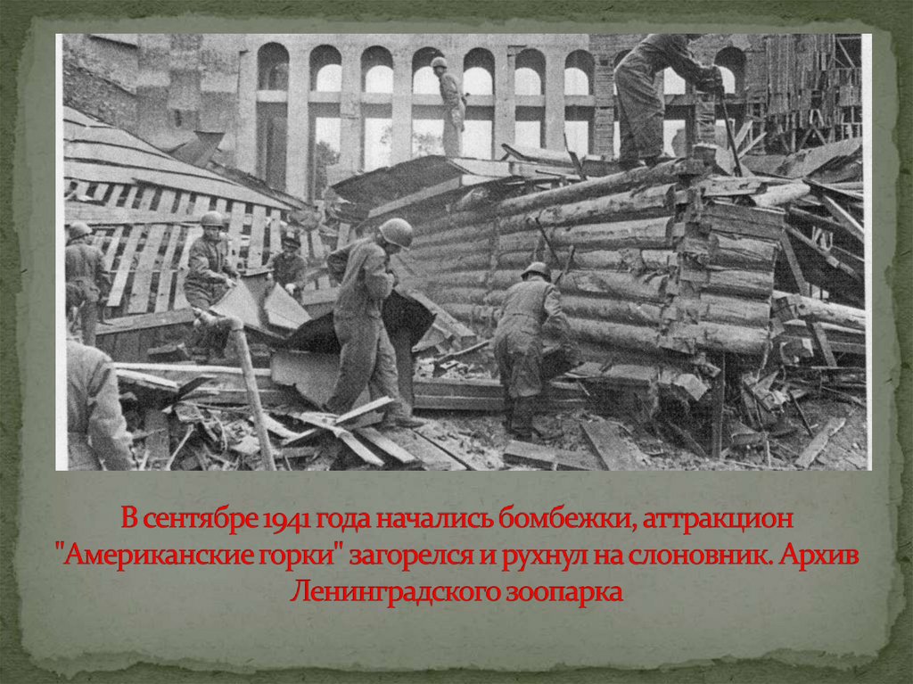 В сентябре 1941 года начались бомбежки, аттракцион "Американские горки" загорелся и рухнул на слоновник. Архив Ленинградского