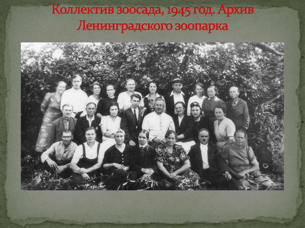 Коллектив зоосада, 1945 год. Архив Ленинградского зоопарка