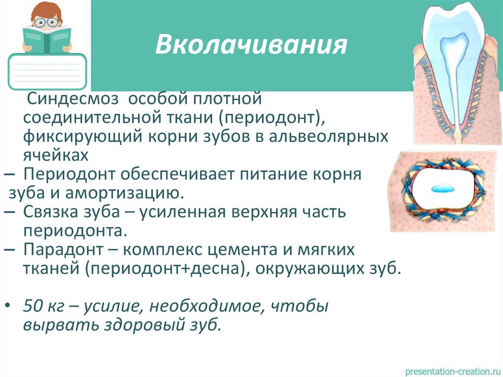 Вколачивания