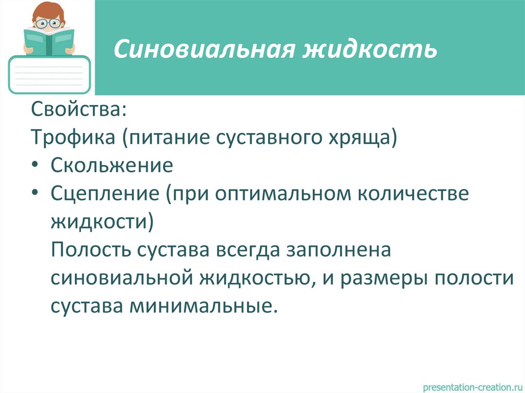 Синовиальная жидкость