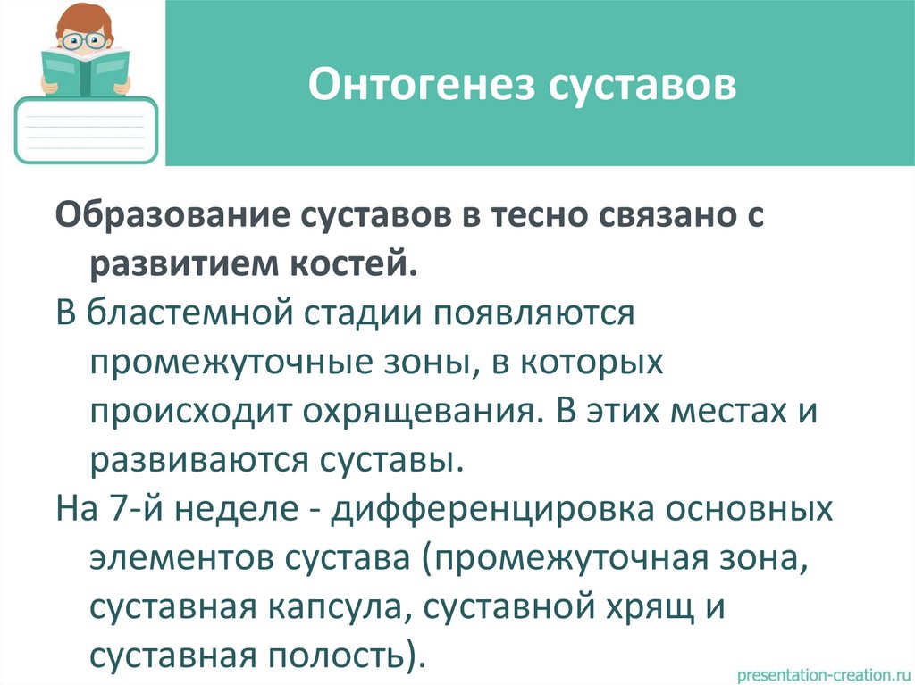 Онтогенез суставов