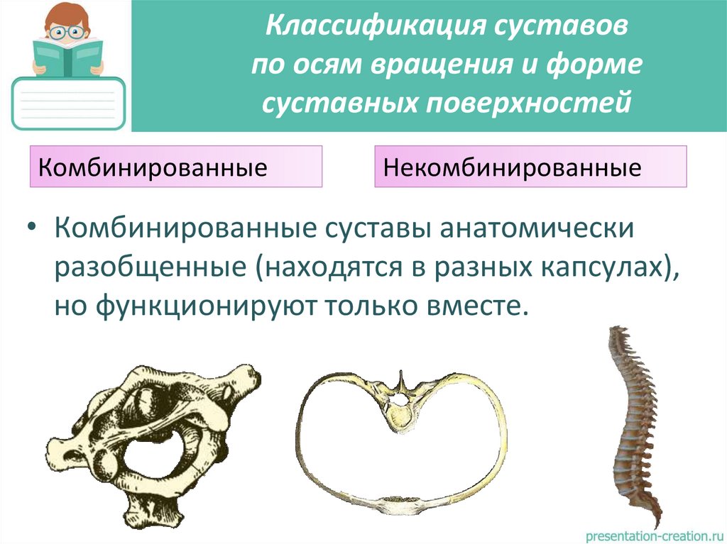 Классификация суставов по осям вращения и форме суставных поверхностей