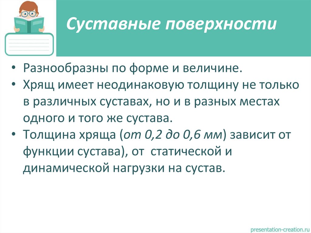 Суставные поверхности