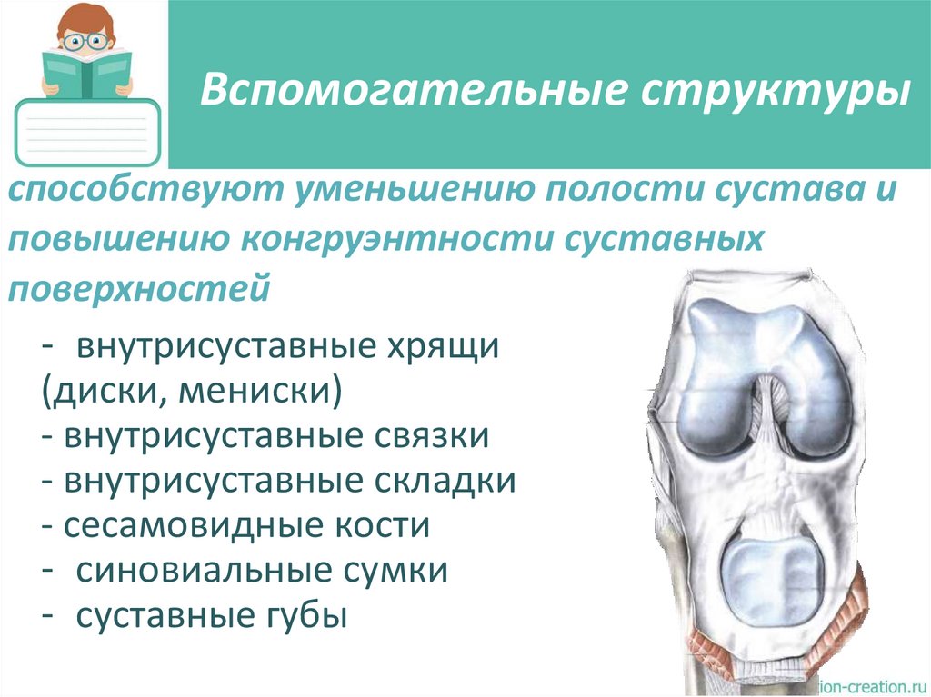 Вспомогательные структуры