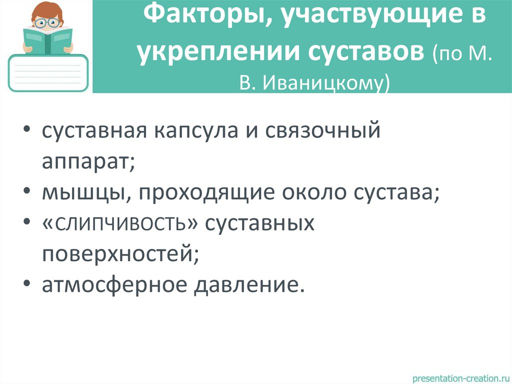 Факторы, участвующие в укреплении суставов (по М. В. Иваницкому)