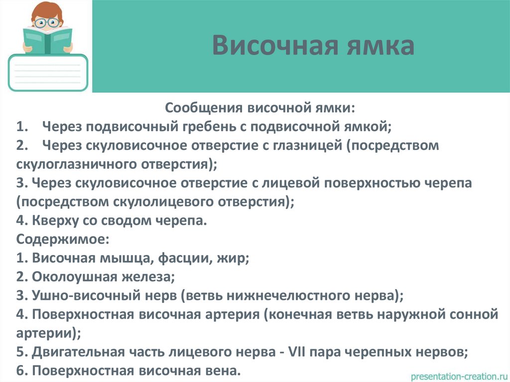 Височная ямка