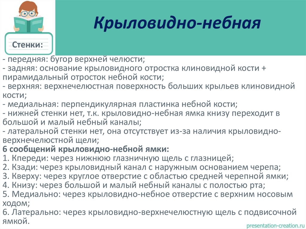 Крыловидно-небная