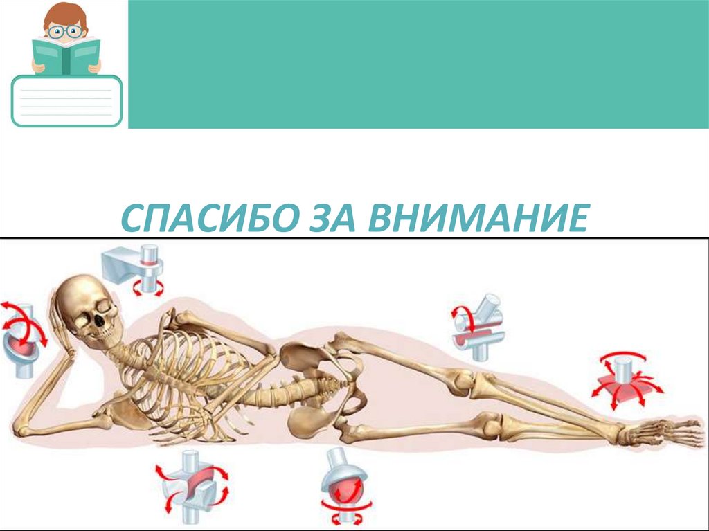 Спасибо за внимание