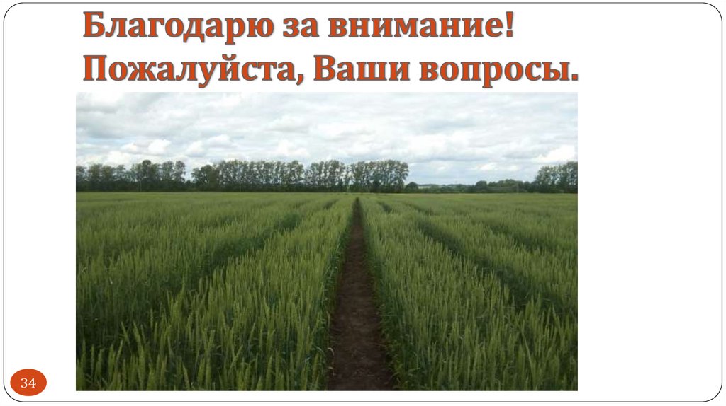 Благодарю за внимание! Пожалуйста, Ваши вопросы.