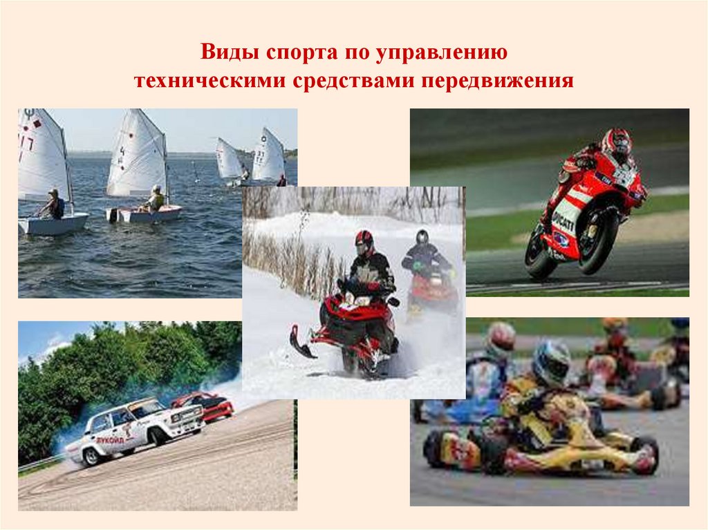 Виды спорта по управлению техническими средствами передвижения