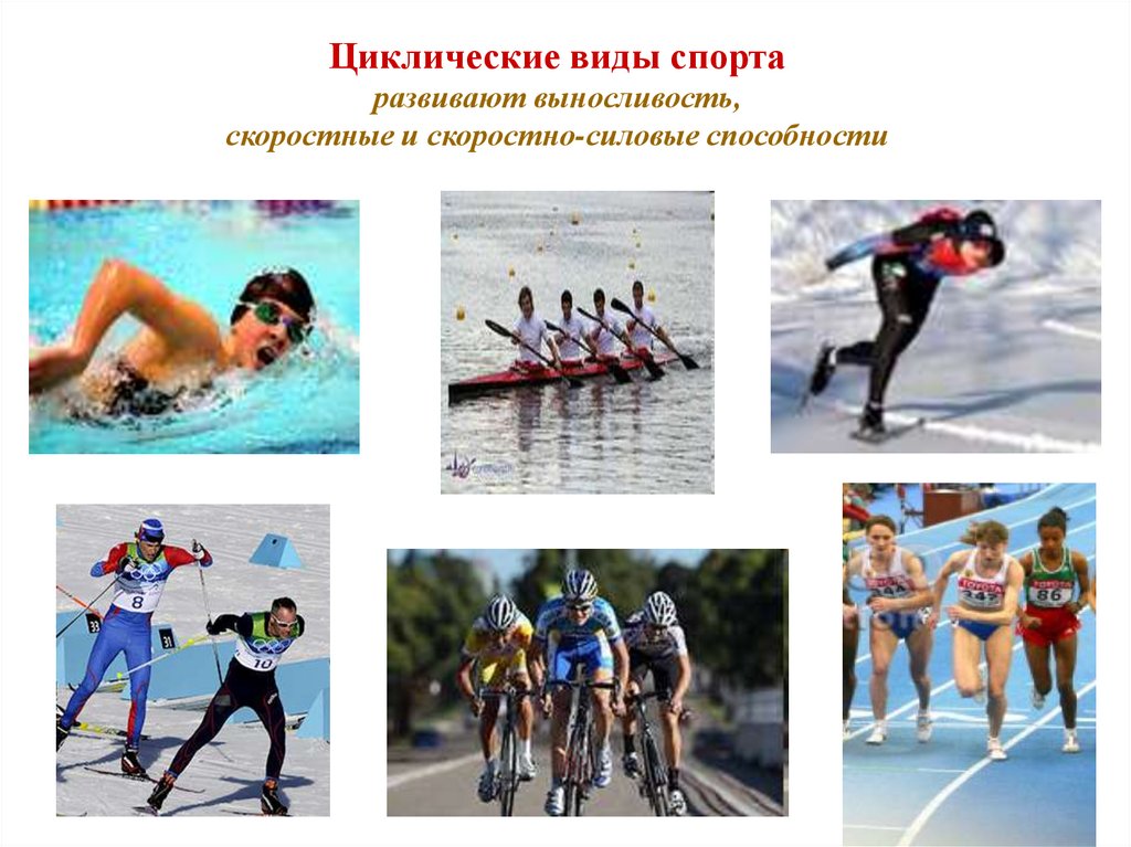Циклические виды спорта развивают выносливость, скоростные и скоростно-силовые способности
