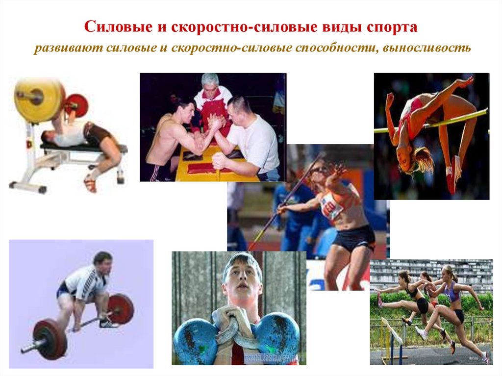 Силовые и скоростно-силовые виды спорта развивают силовые и скоростно-силовые способности, выносливость