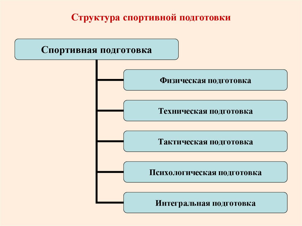 Структура спортивной подготовки