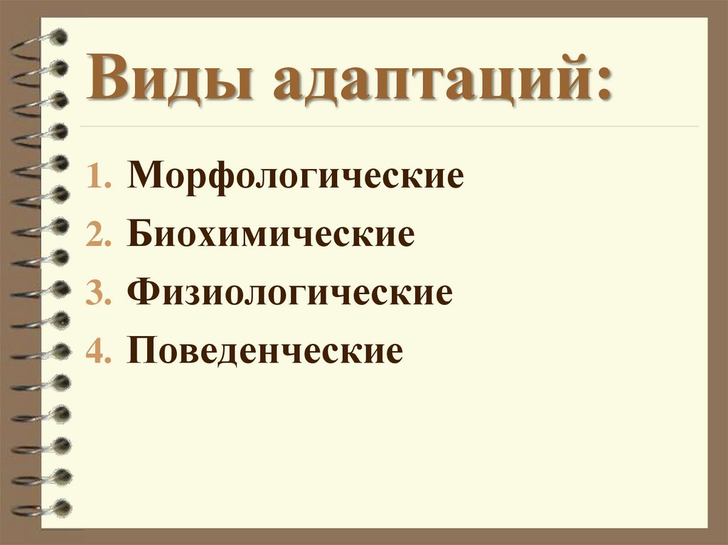 Виды адаптаций:
