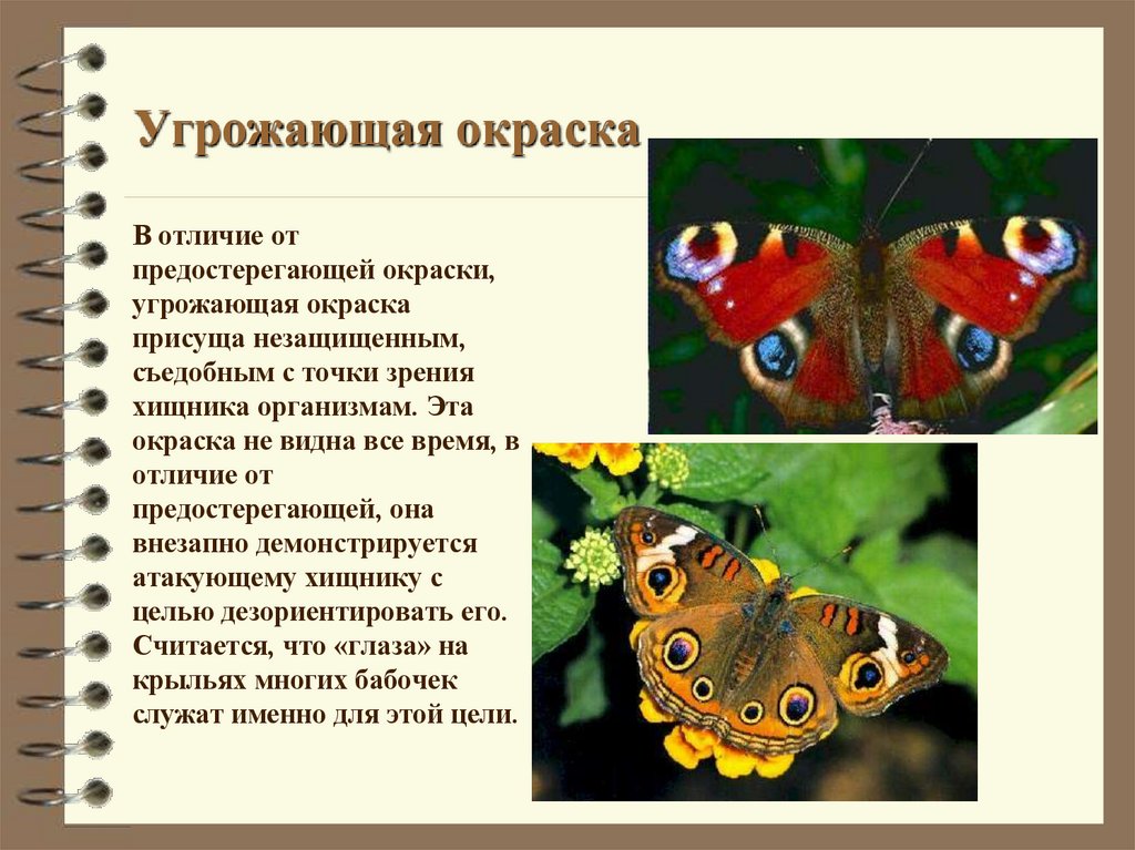 Угрожающая окраска