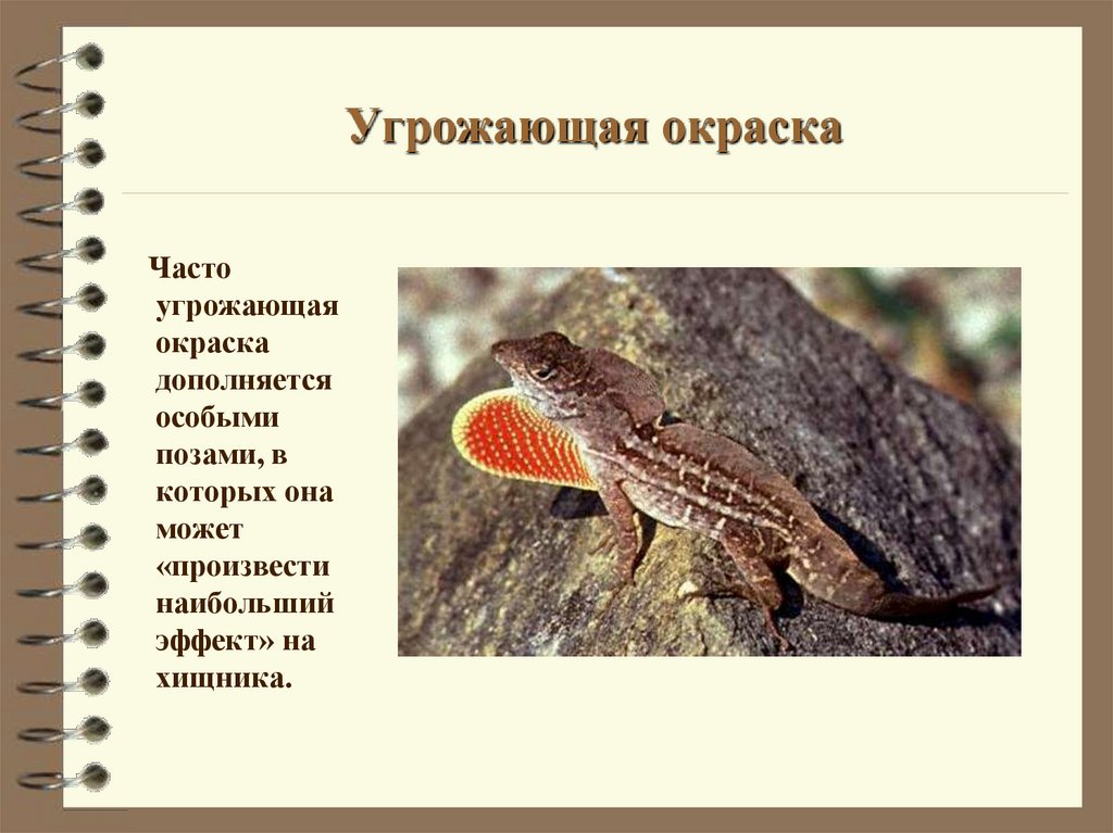 Угрожающая окраска