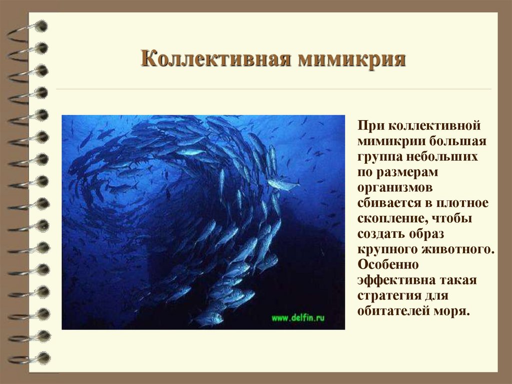 Коллективная мимикрия