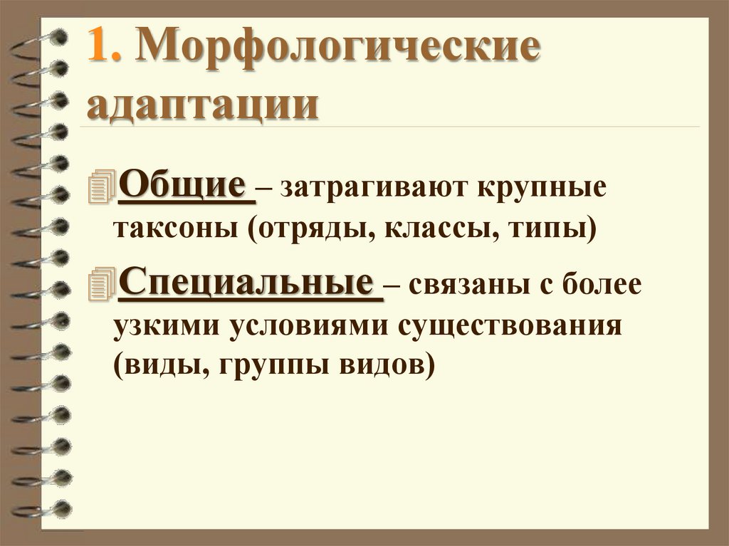 1. Морфологические адаптации