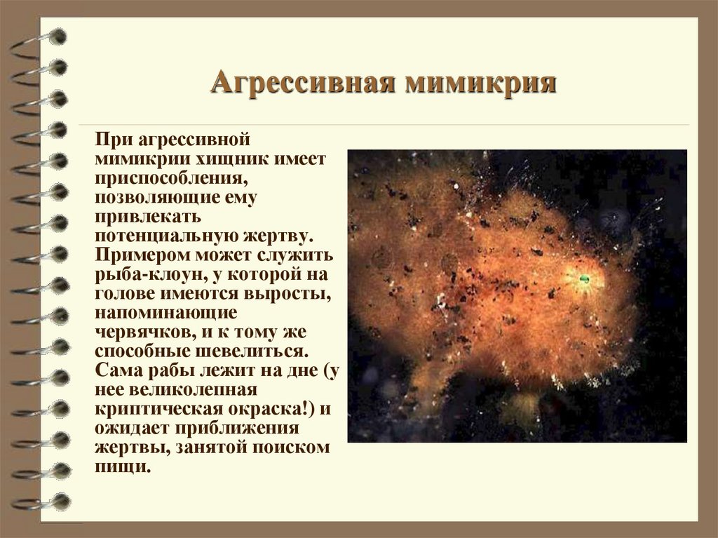 Агрессивная мимикрия