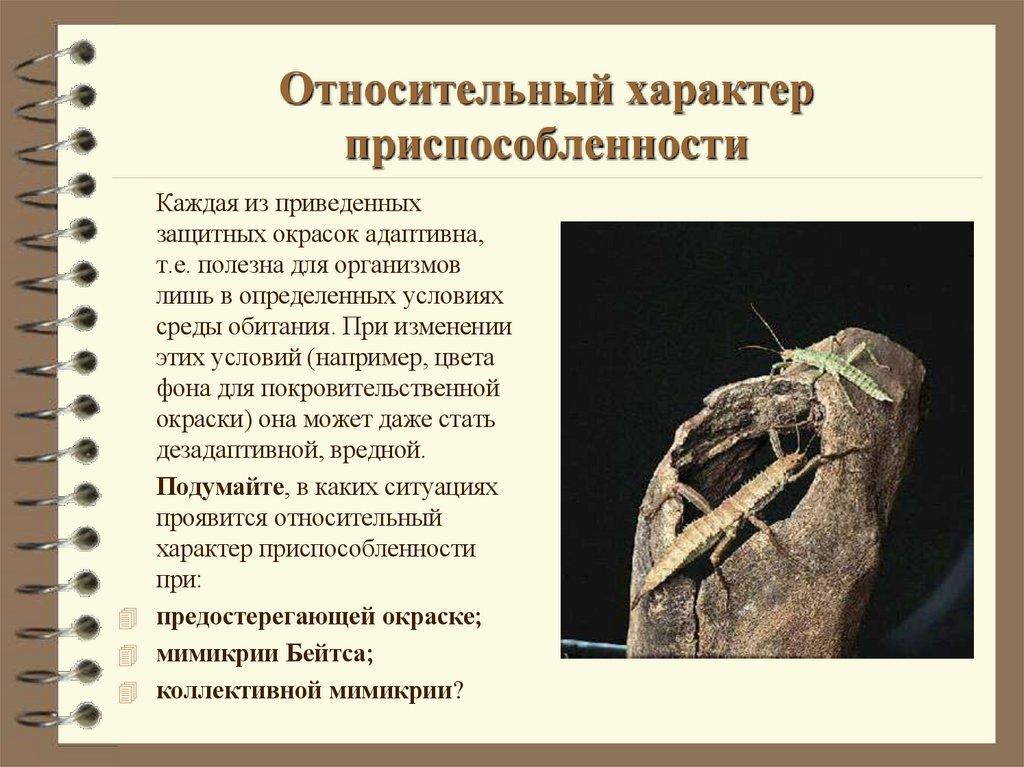 Относительный характер приспособленности