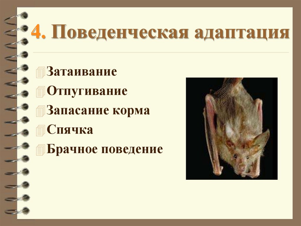 4. Поведенческая адаптация