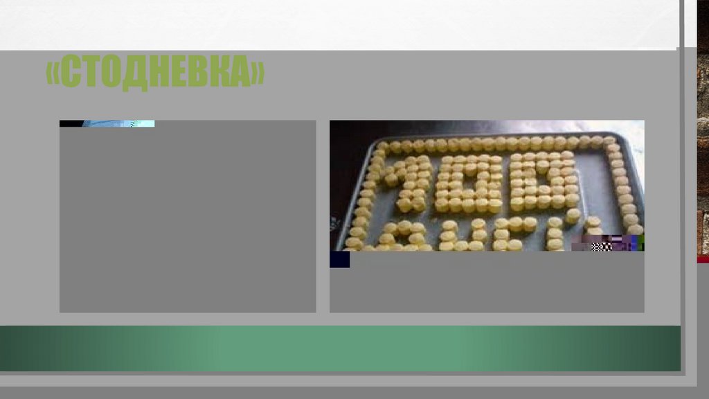 «стодневка»