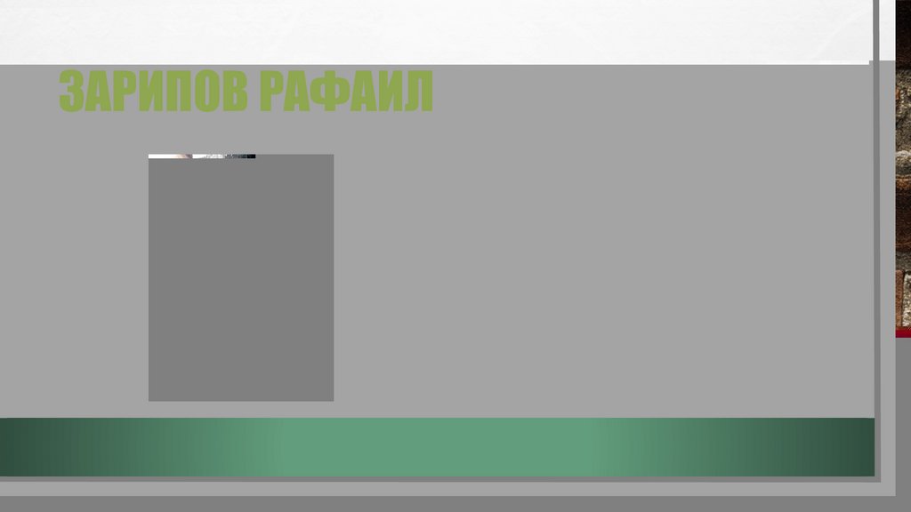 Зарипов Рафаил