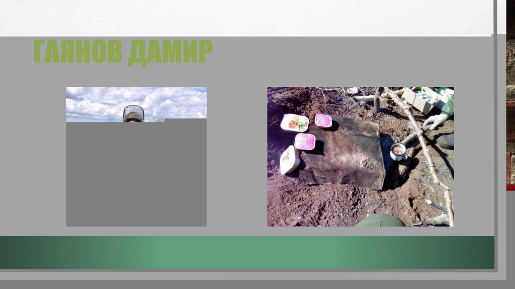 Гаянов дамир