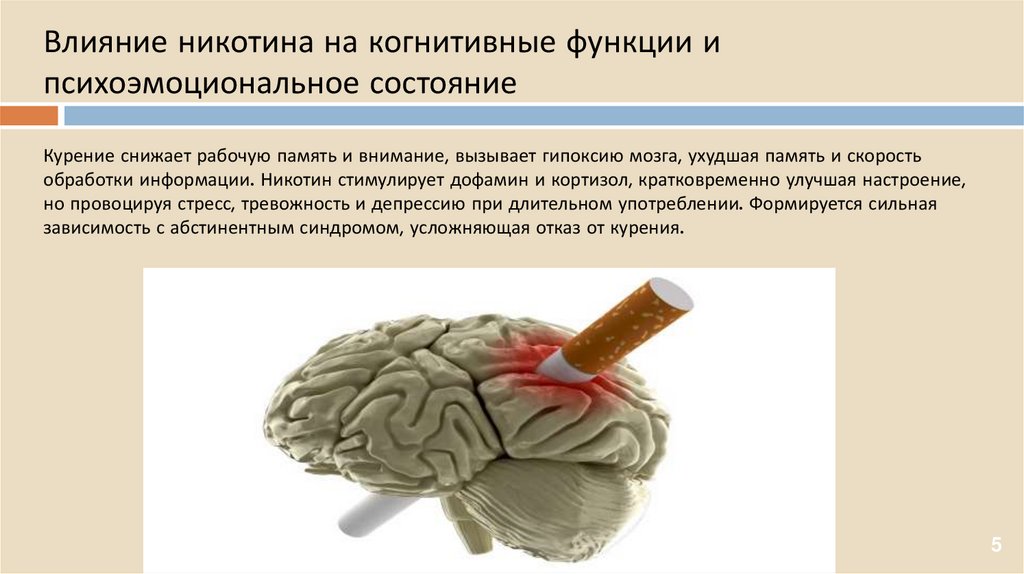 Влияние никотина на когнитивные функции и психоэмоциональное состояние