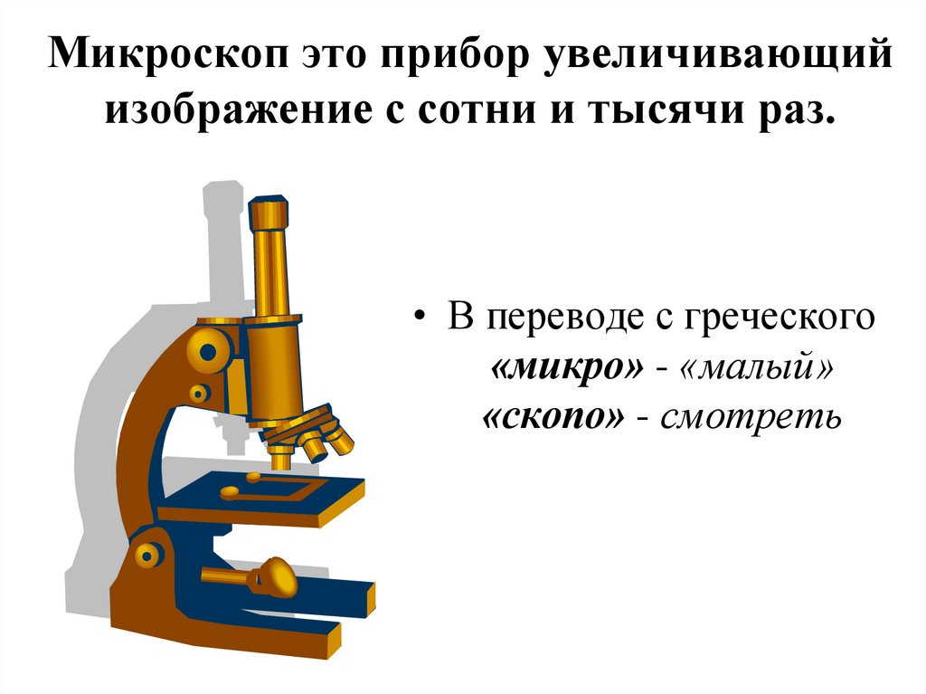 Микроскоп это прибор увеличивающий изображение с сотни и тысячи раз.