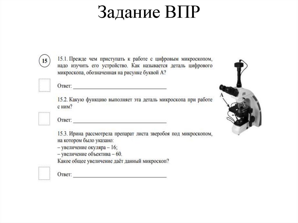 Задание ВПР