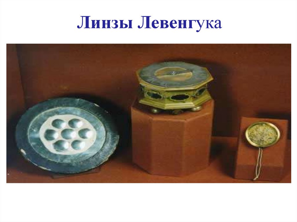 Линзы Левенгука