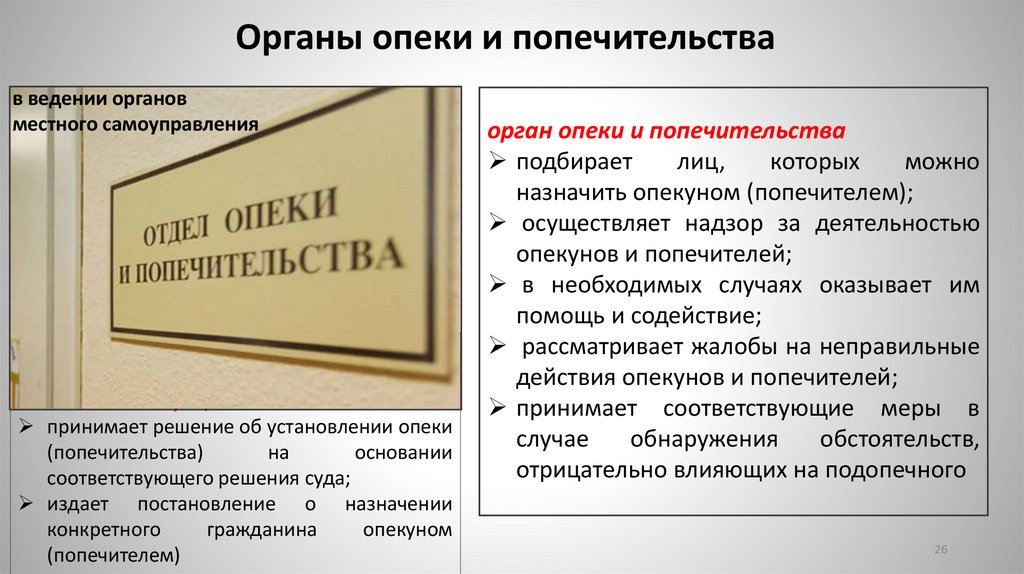 Органы опеки и попечительства