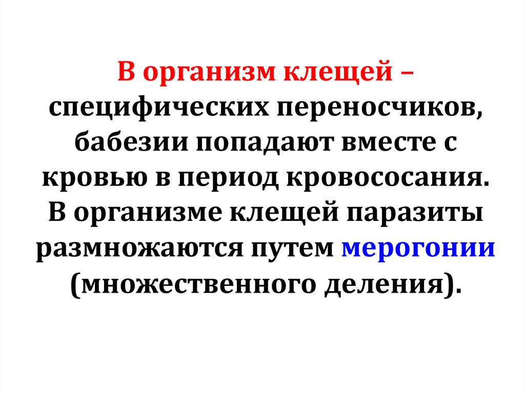 В организм клещей – специфических переносчиков, бабезии попадают вместе с кровью в период кровососания. В организме клещей