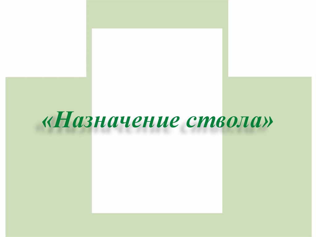 «Назначение ствола»