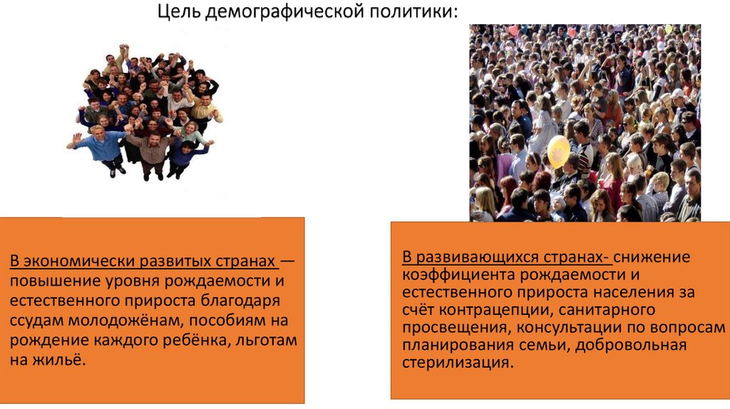 Цель демографической политики: