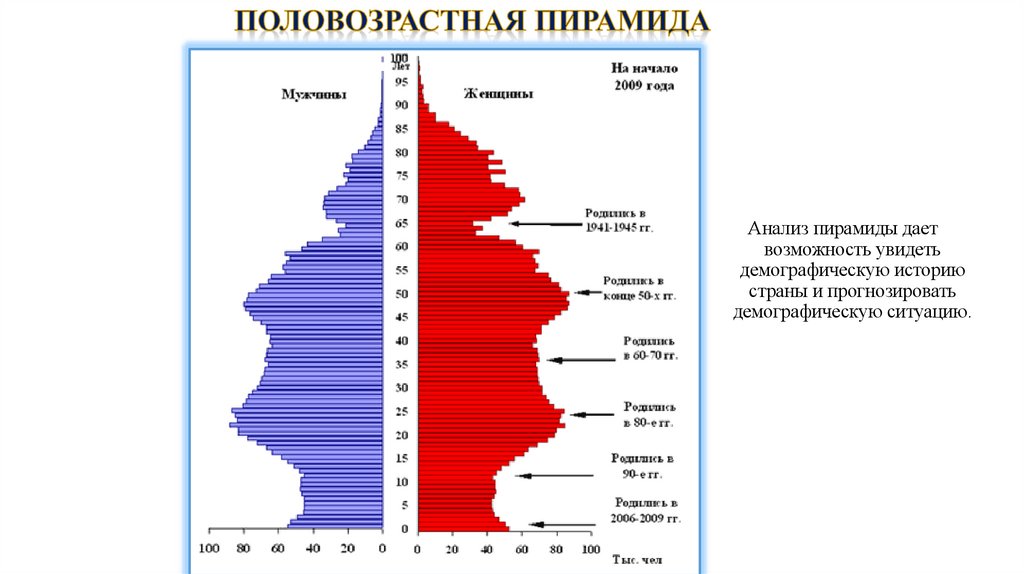 Половозрастная пирамида