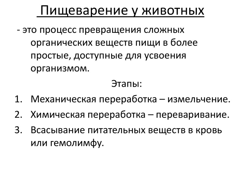 Пищеварение у животных