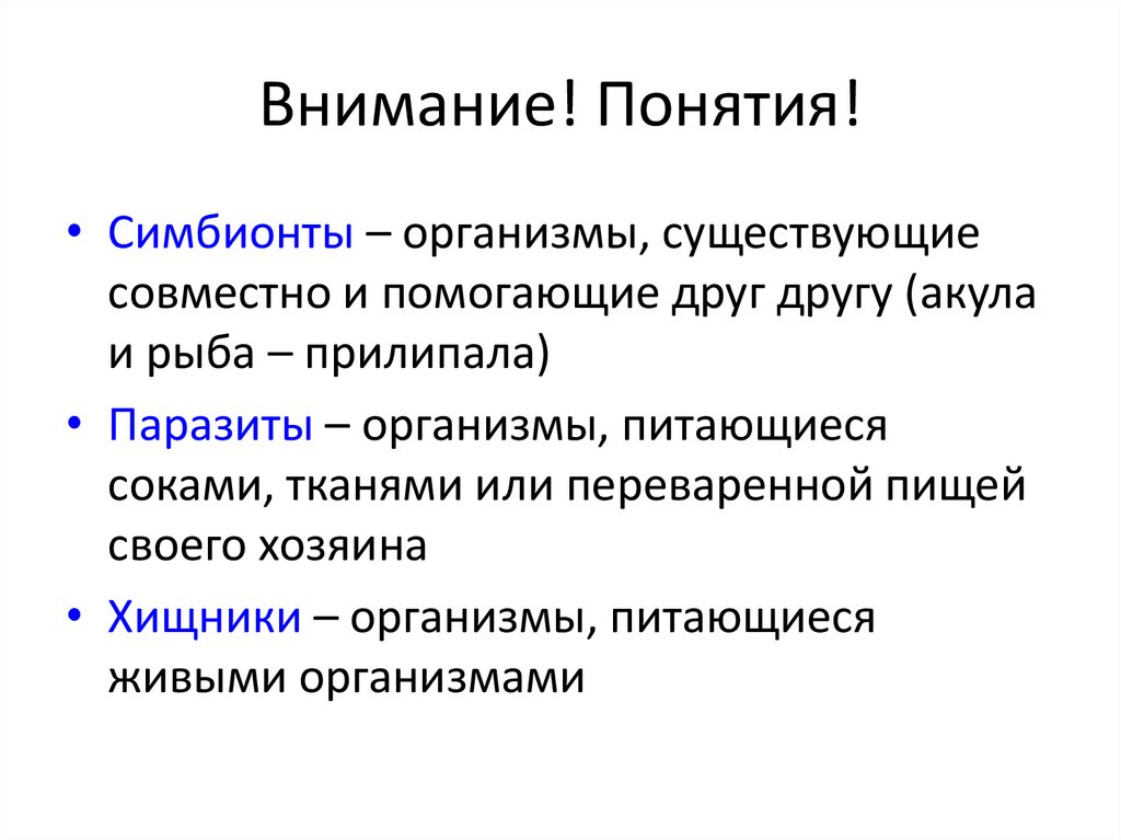 Внимание! Понятия!