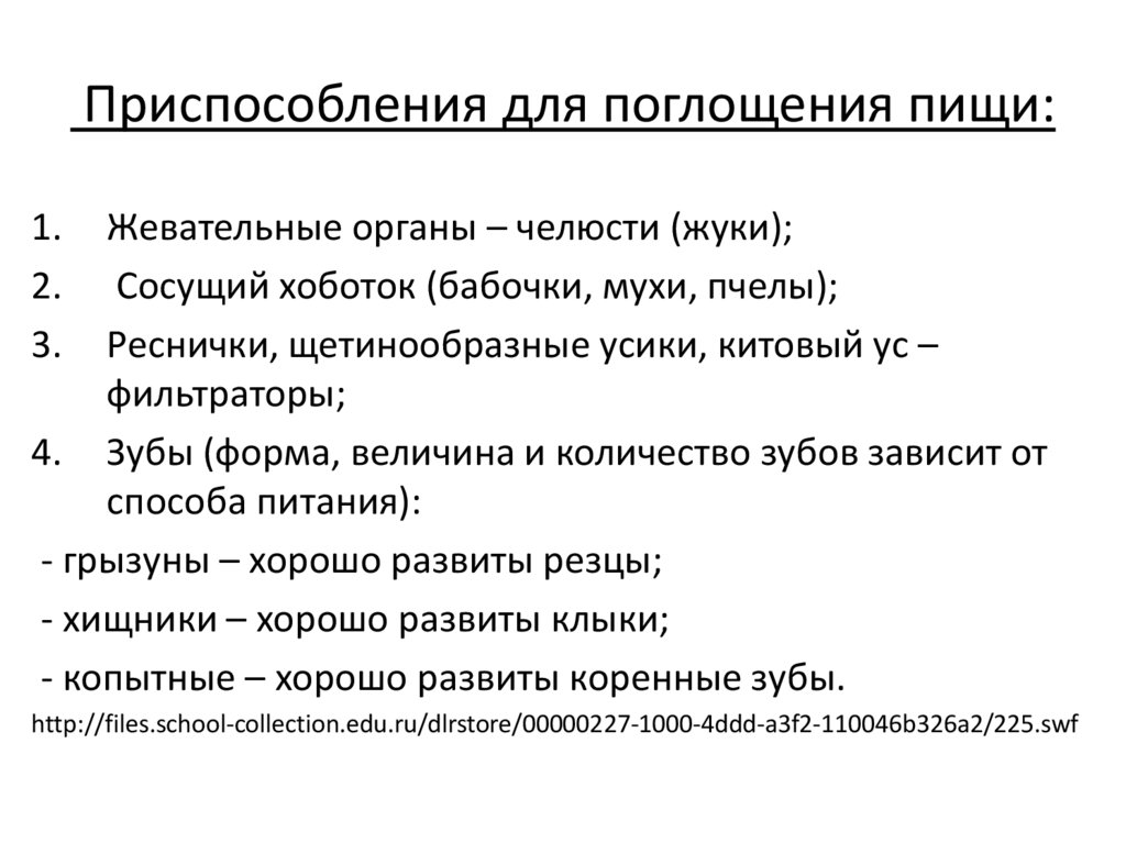 Приспособления для поглощения пищи: