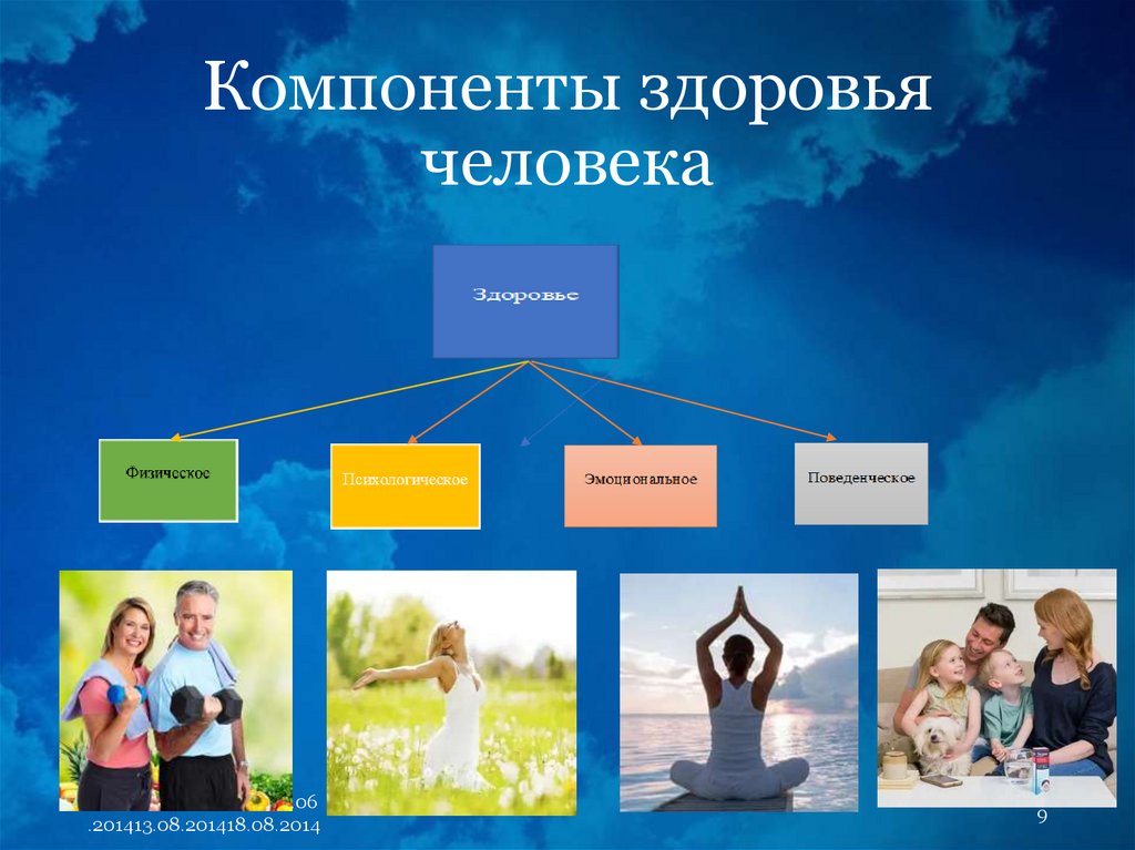 Компоненты здоровья человека